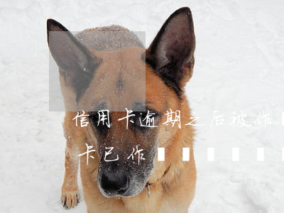 信用卡逾期之后被作廢了(信用卡逾期十多年,卡已作廢、欠3000多)